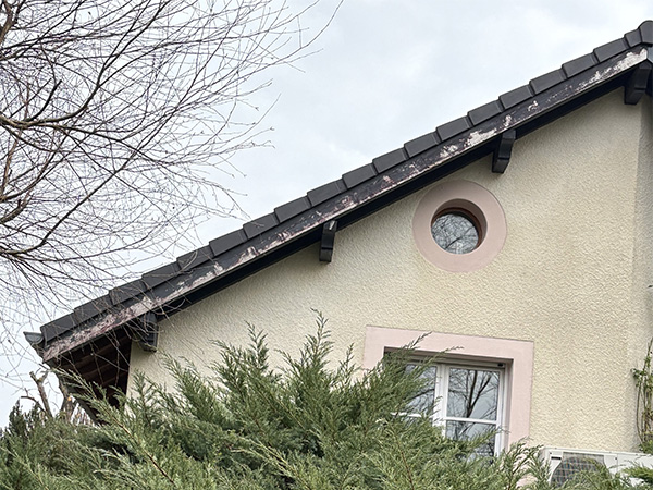 renovation facade avant